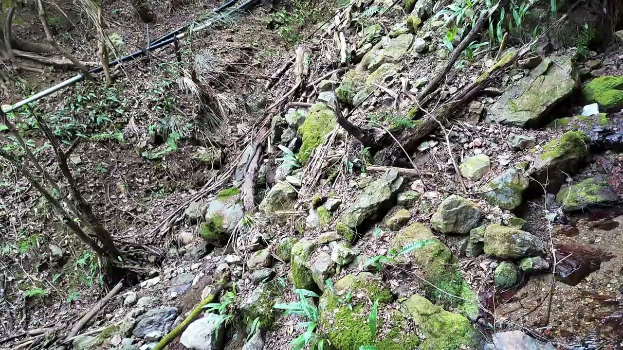 観音水あたり、上りと下り　【ASMR】 『水の音・川の音・疲れた心身の回復・リラックス効果・勉強や作業用・自律神経を整える・よく眠れる』 Japanese river sounds