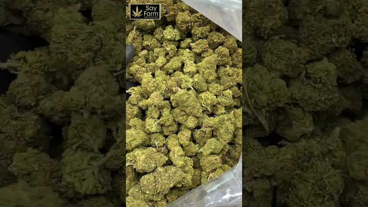 SayFarm - Fruit Passion - [SUPERIOR SELECTION]