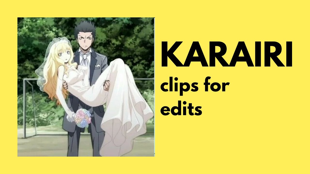 [ASSASSINATION CLASS.] KARAIRI clips for edits (karasuma x irina)