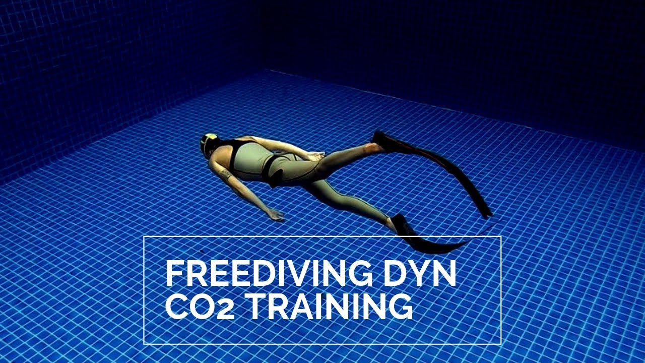 Mastering the Dynamic Apnea: Freediving CO2 Training Tables