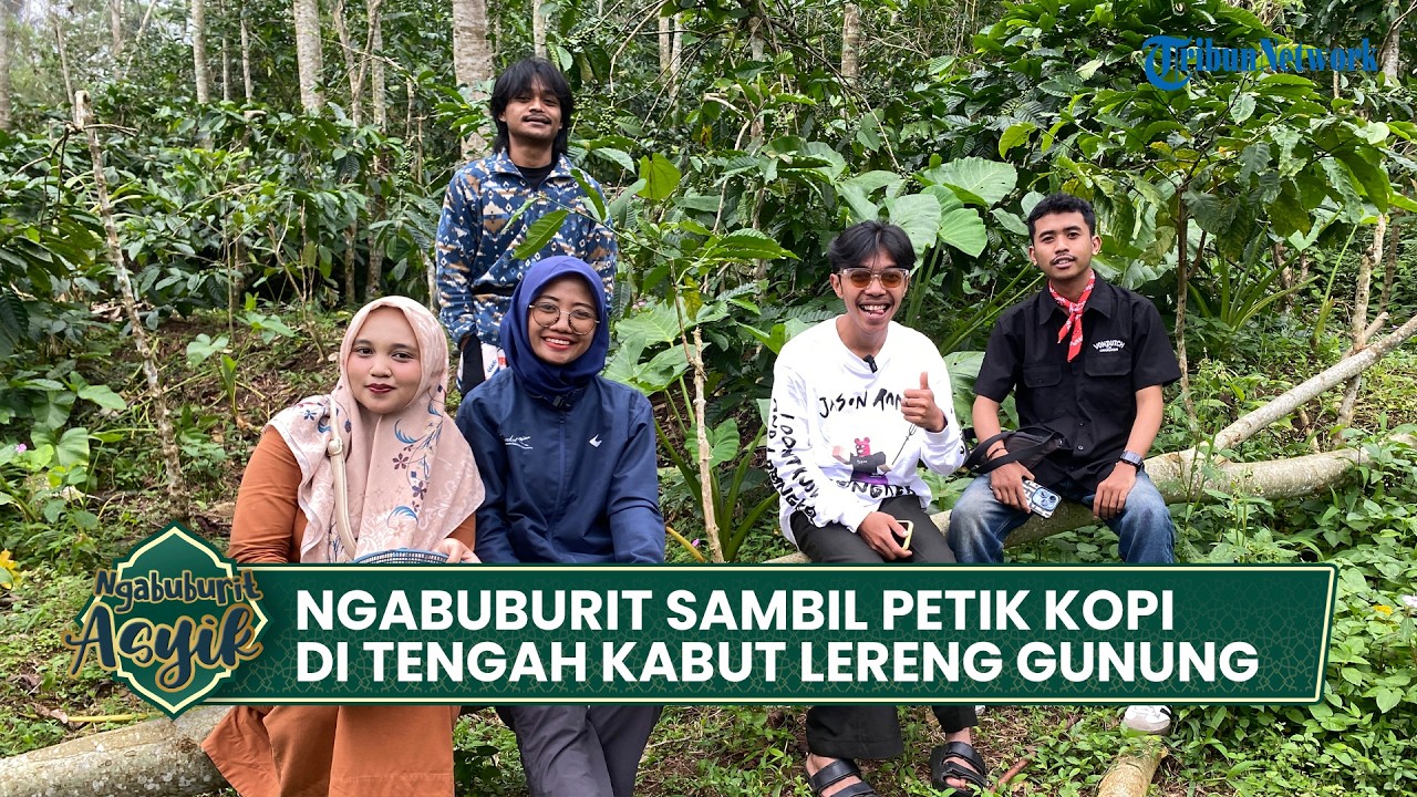 Ngabuburit Asyik - Ngabuburit Sambil Petik Kopi di Tengah Kabut Lereng Gunung Ungaran