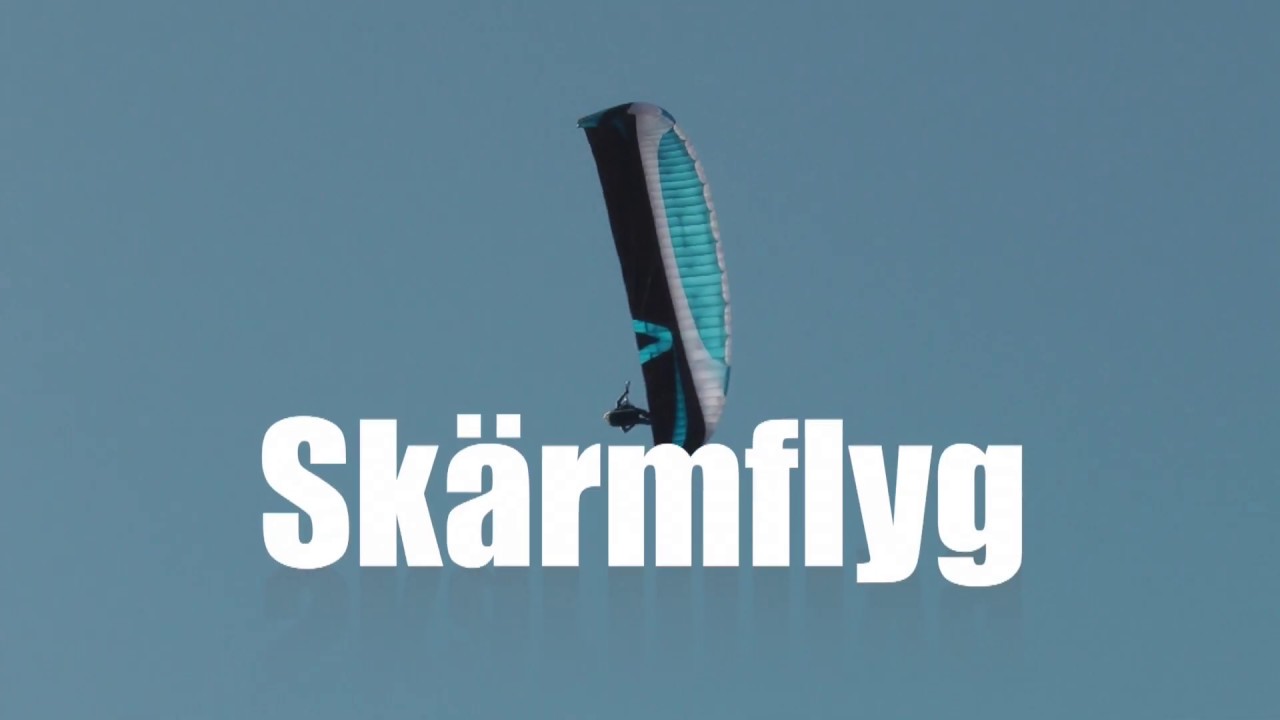 Sk&auml;rmflyg