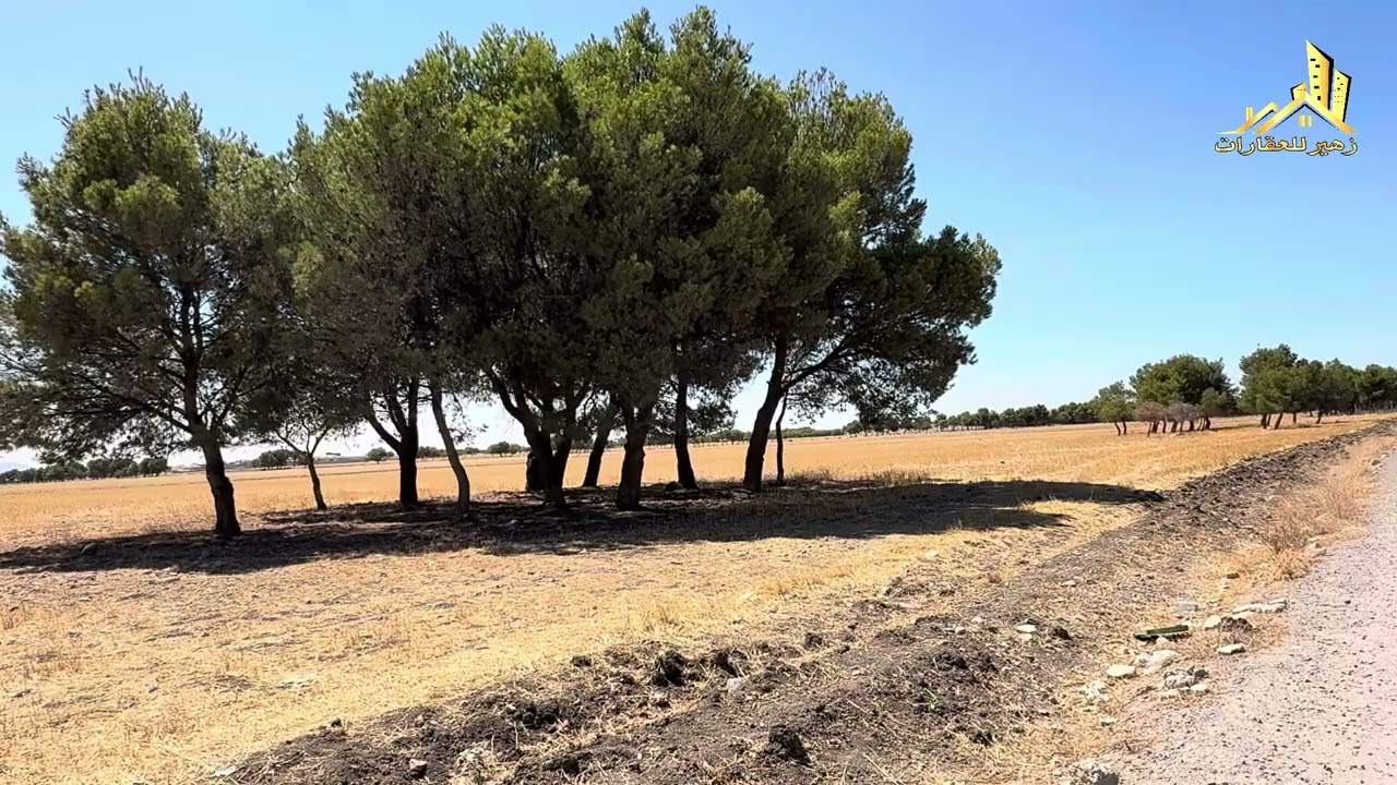 ارض للبيع فيض غريب العلمة ولاية سطيف