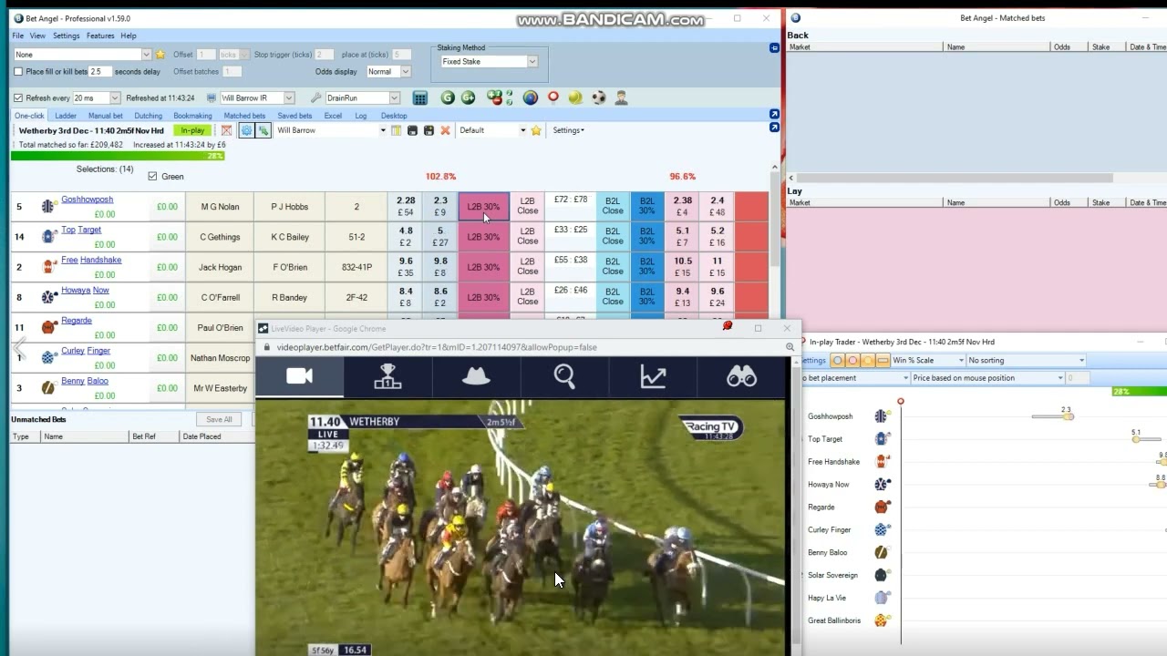 In Running Horse Race Trade Betfair Exchange. L2B Saturday 3rd Dec.