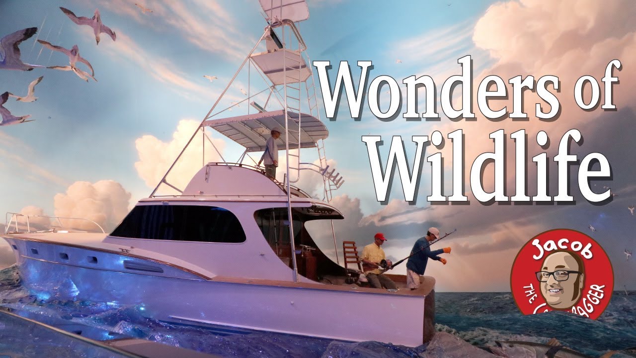 The Wonders of Wildlife - The Midwest’s Grandest Attraction