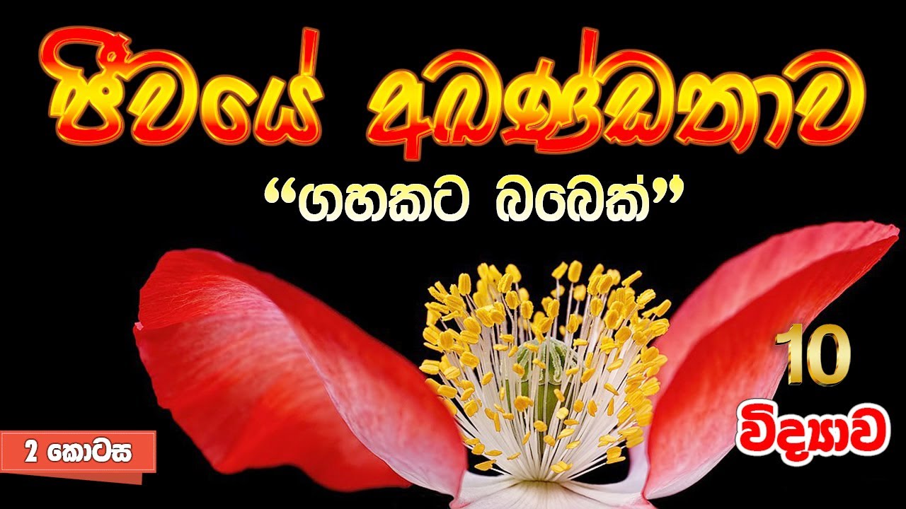 Grade 10 Science | 🌼🌼ජීවයේ අඛණ්ඩතාවය 2 කොටස 🌼🌼| Jivaye Akandathawaya | OL Science | Grade 11 Science