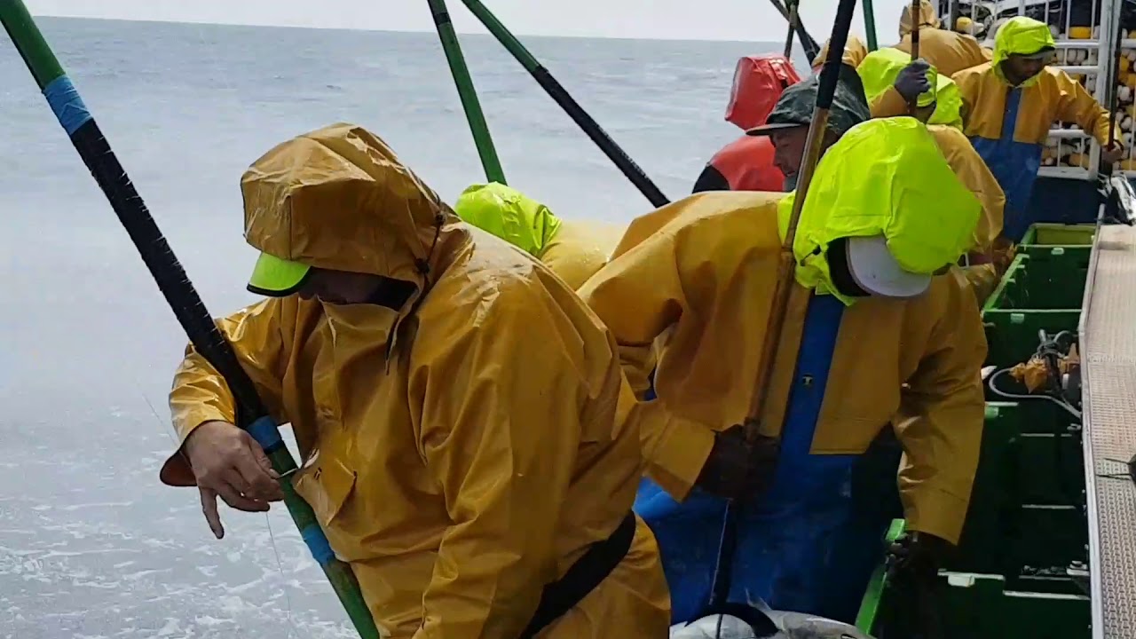Manuel padre segundo Colindres pescando bonitos 2017