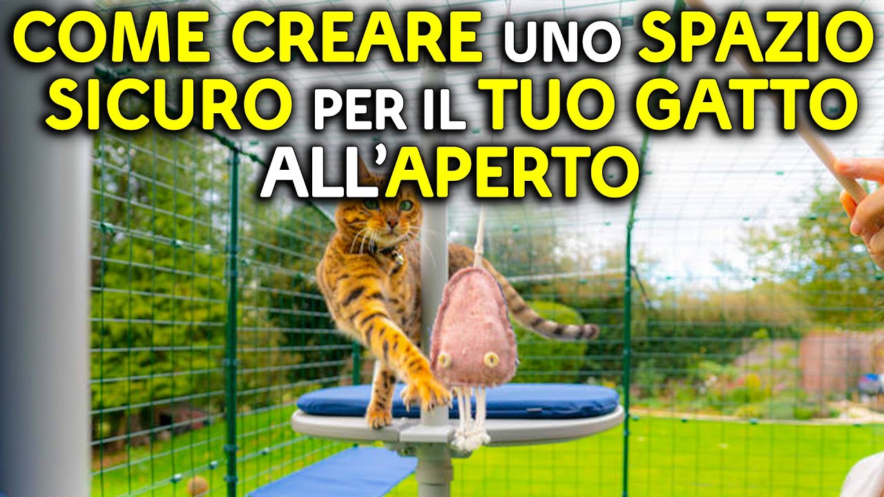 GATTI E GIARDINI: COME CREARE UNO SPAZIO SICURO PER IL TUO GATTO ALL'APERTO - QUA LA ZAMPA