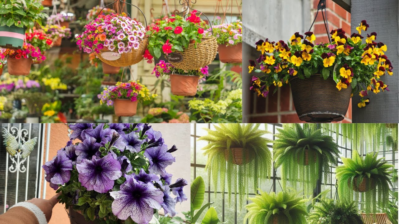 10 Plantas Colgantes Fáciles de Cuidar: ¡Perfectas para Principiantes