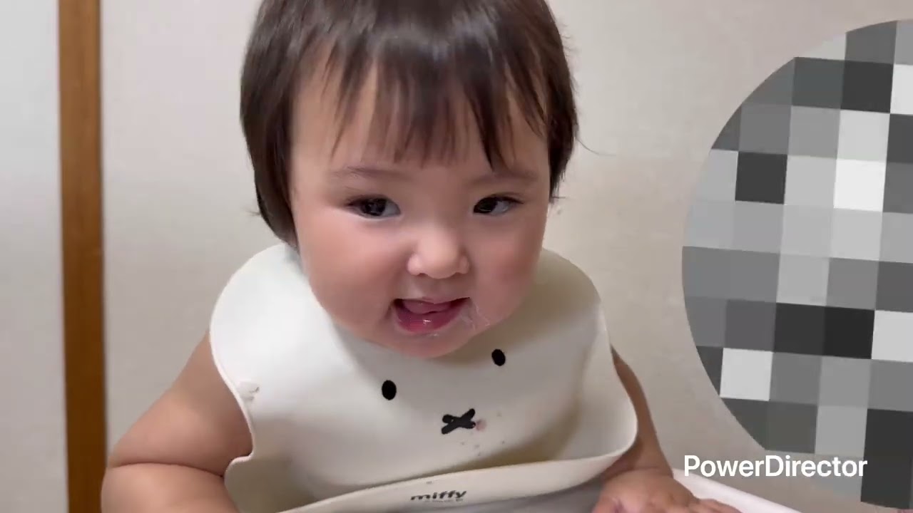 【まとめ】1歳2ヶ月ごろ？　離乳食　おやつ食べた　[Compilation] 14-Month-Old Baby Eating 🍚