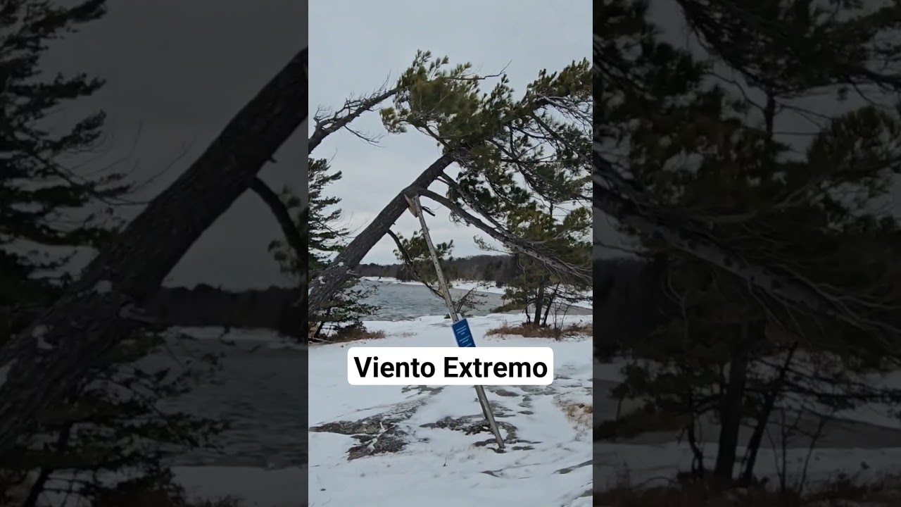 Los efectos del VIENTO EXTREMO en CANAD&Aacute;  #shorts #canada #argentina #emigrar #mexico #espa&ntilde;a #fun