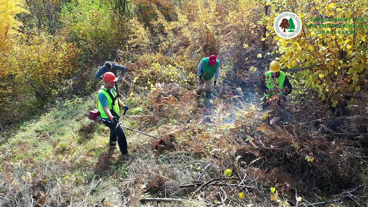 POŠUMLJAVANJE - ŠUMARIJA DONJI VAKUFU -  G.J.