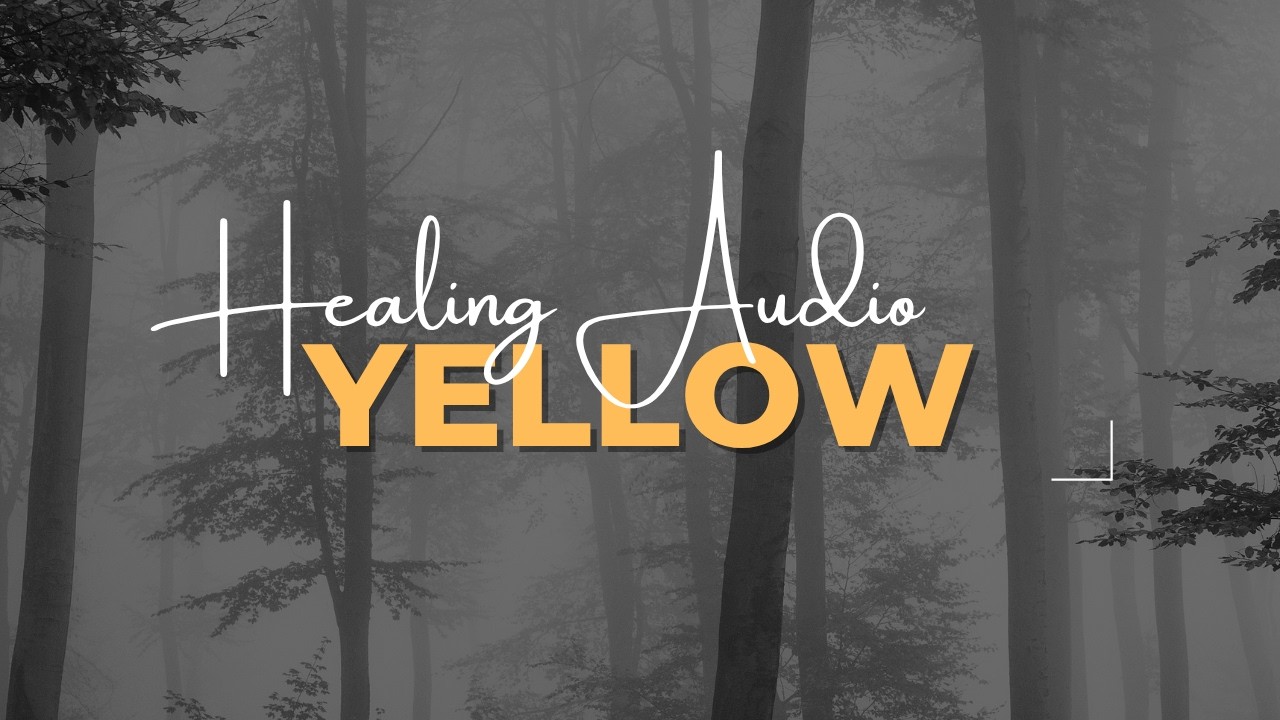 Let Go & Feel Again &ndash; Yellow by Coldplay (Nature Guitar Cover)