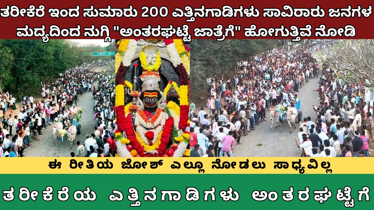 ತರೀಕೆರೆ ಇಂದ 200 ಎತ್ತಿನಗಾಡಿಗಳು ಸಾವಿರಾರು ಜನಗಳ ಮದ್ಯದಿಂದ ನುಗ್ಗಿ ಅಂತರಘಟ್ಟೆ ಜಾತ್ರೆಗೆ ಹೋಗುತ್ತಿವೆ 