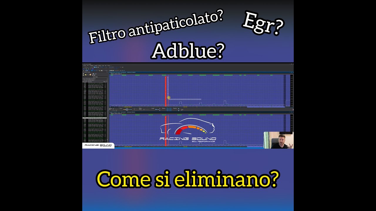 COME SI RIMUOVE IL FAP O L’AdBlue DALLA CENTRALINA TRAMITE LA MAPPATURA?