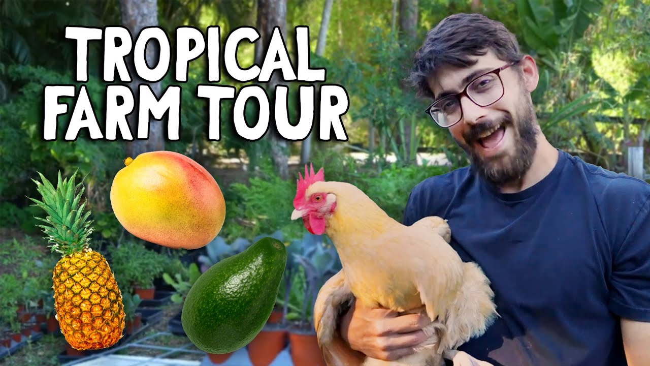 THRIVING Farm Tour Fruit Trees Chickens Food Forest at HQ - (Abundance Vlog #31)