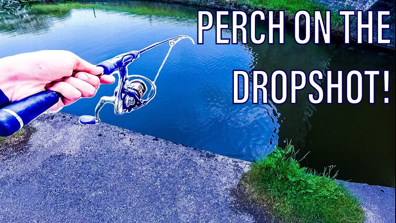 Dropshot Fishing For Perch on The Leeds Liverpool Canal 🎣 🛥 (4K)
