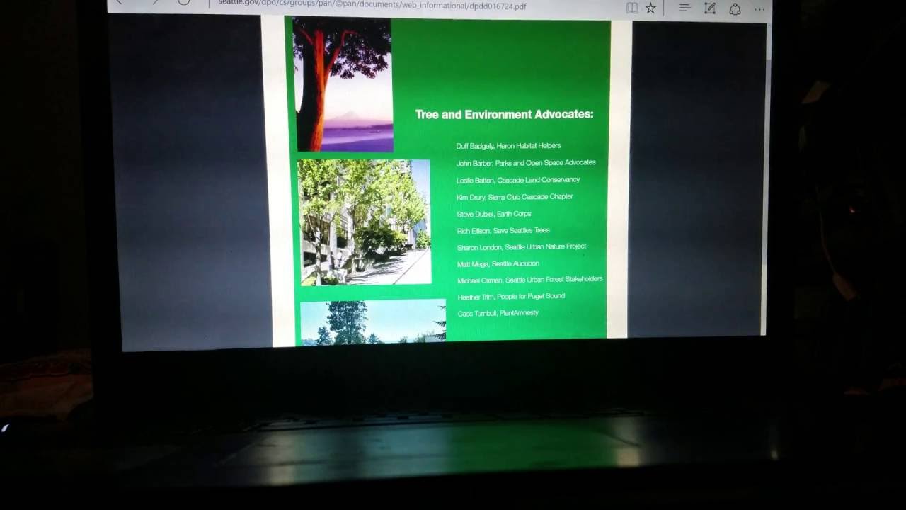 Response To Illegal Tree Cutting Part 1