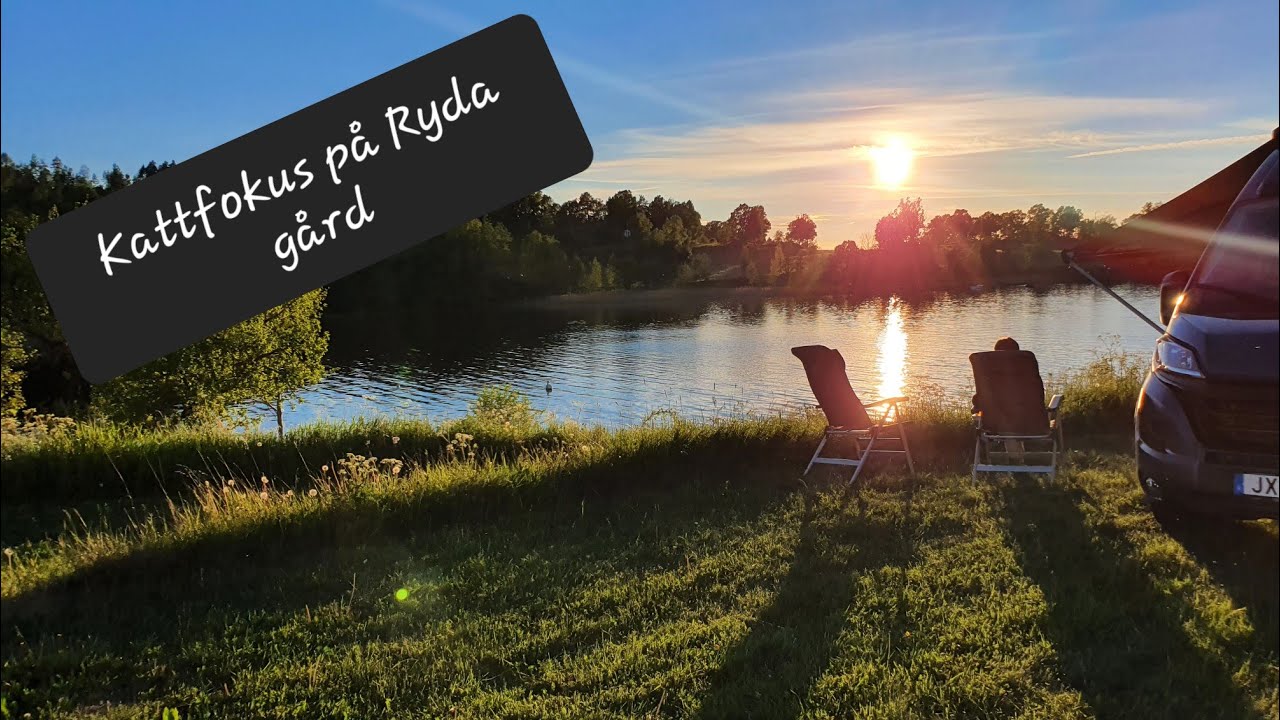 Med plåtisen och katterna på Ryda gård, Björkfors