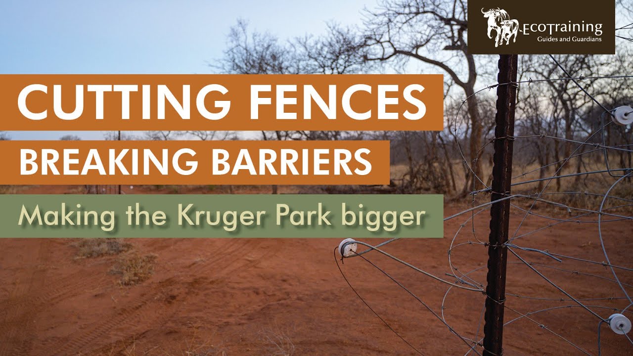 Breaking Down Barriers | Making the Kruger Park Bigger