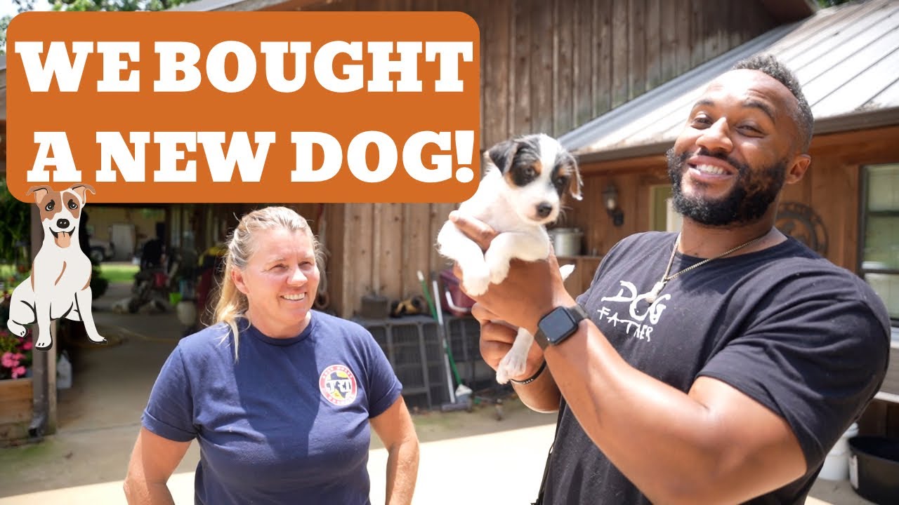 We Bought a New Dog!!!