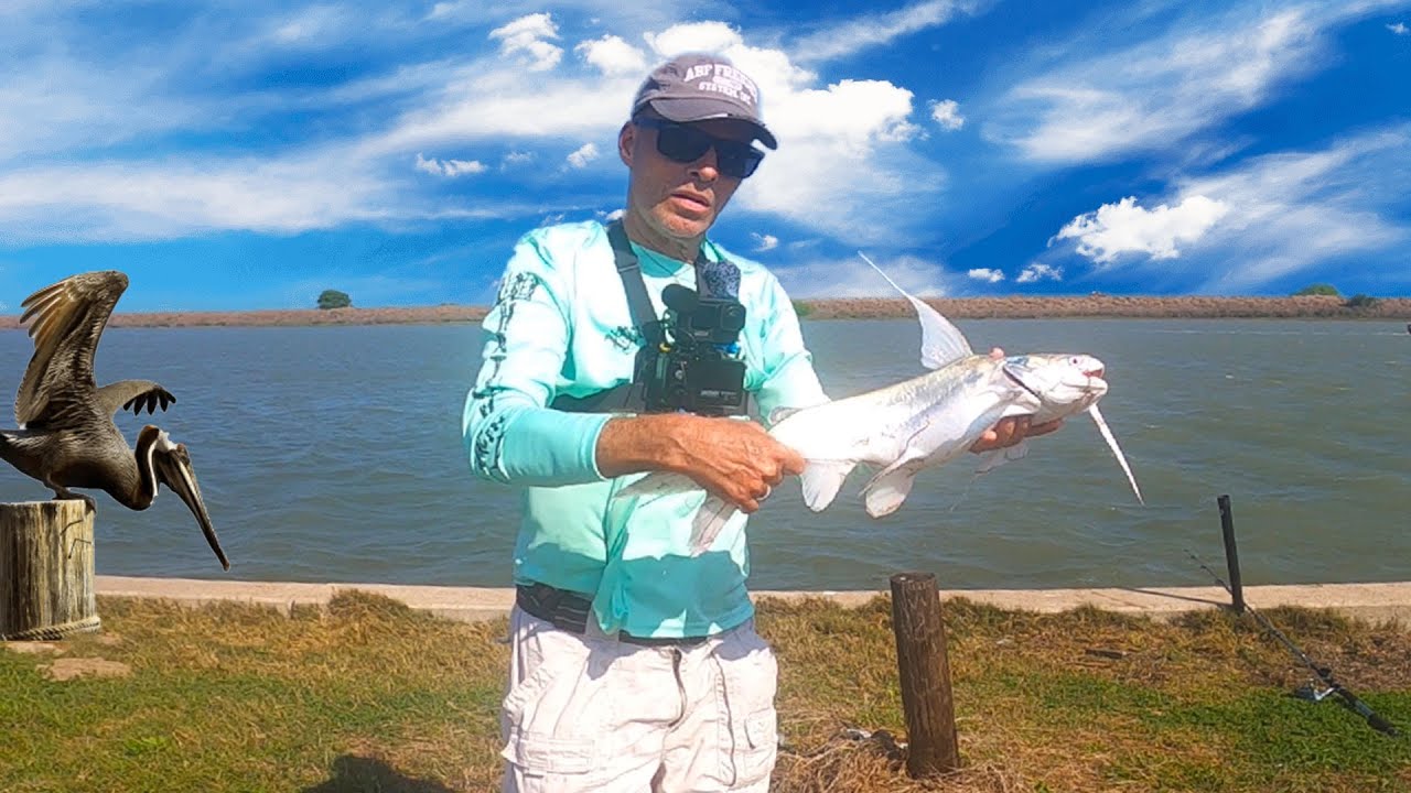 Pelican steals my expensive rod and reel