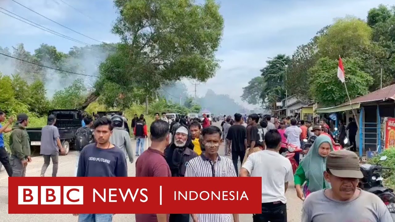 Bentrok Pulau Rempang: 'Jokowi lebih sayang proyek strategis nasional' - BBC News Indonesia