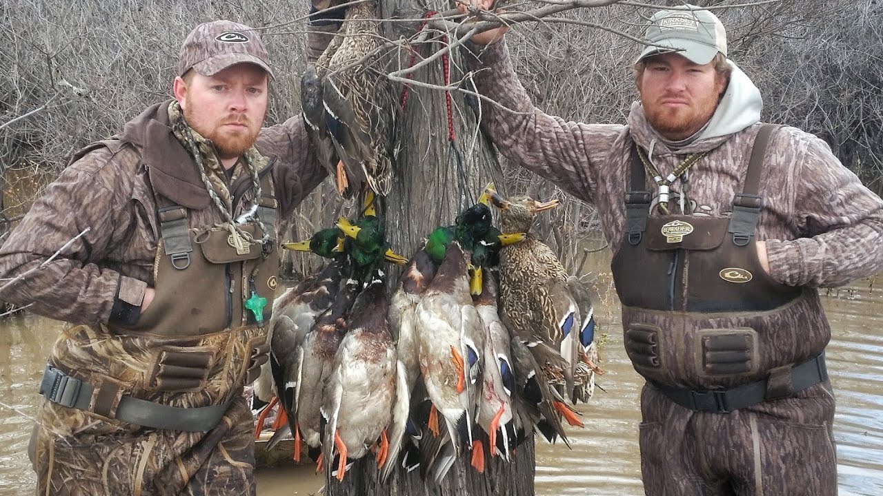 How To Scout For Ducks on Public Land