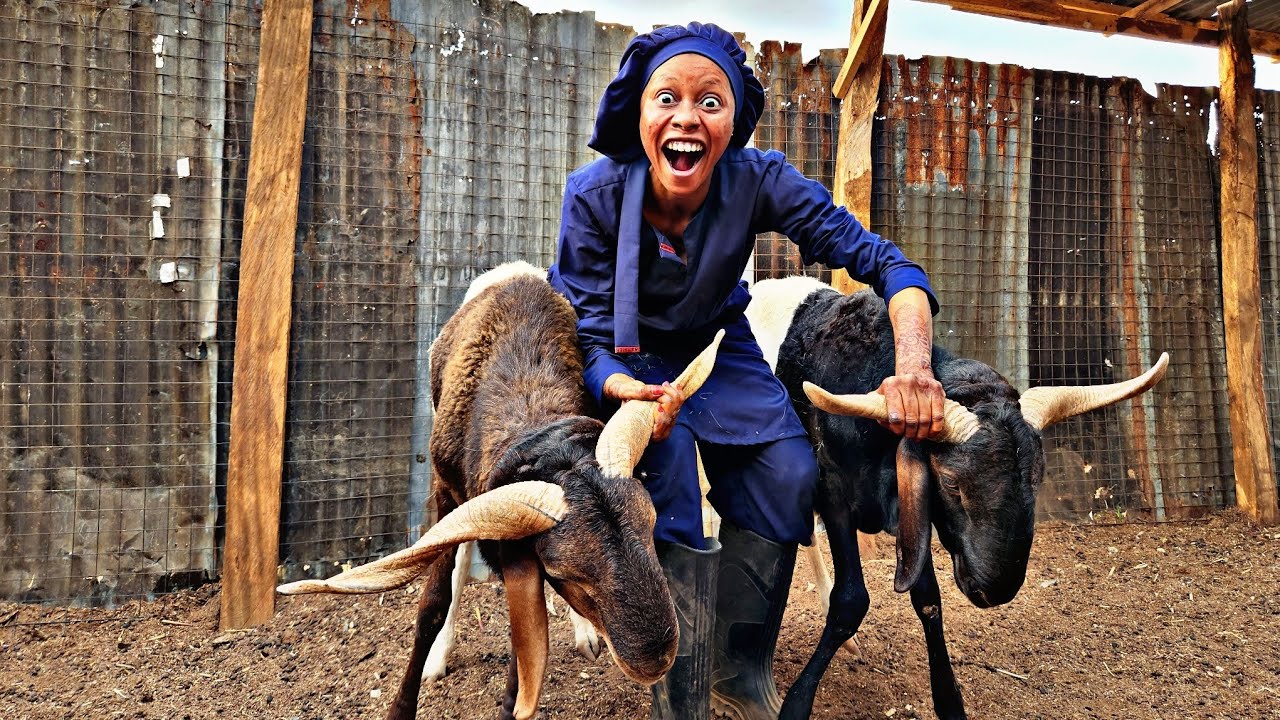 Make Millions With Rams 😳 Must Watch