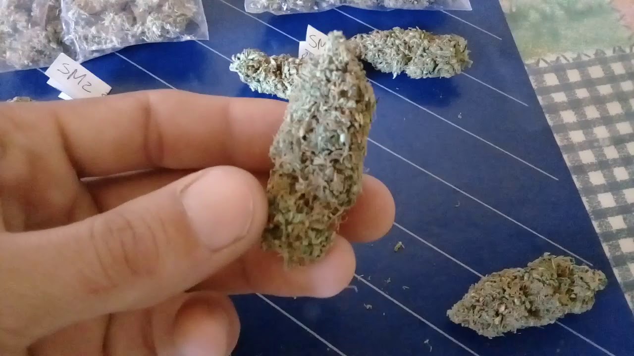 Dry weight report first indoor grow 2018