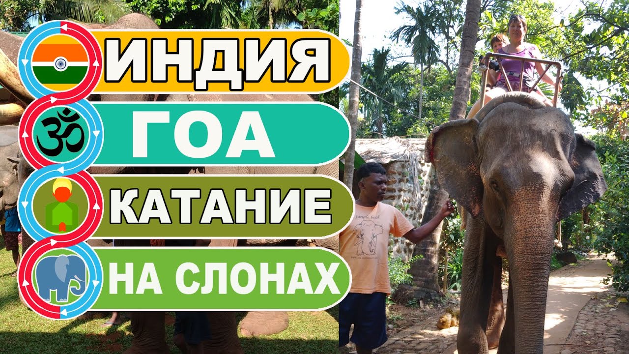 Indian elephant ride in Goa