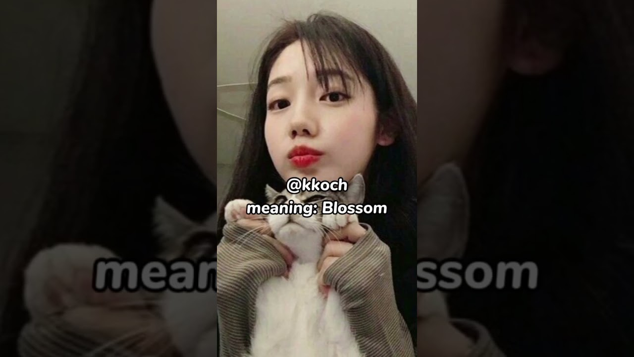 Korean username ideas with meaning...✨👍#aesthetic #teen #girl #youtube #facts #username #korean