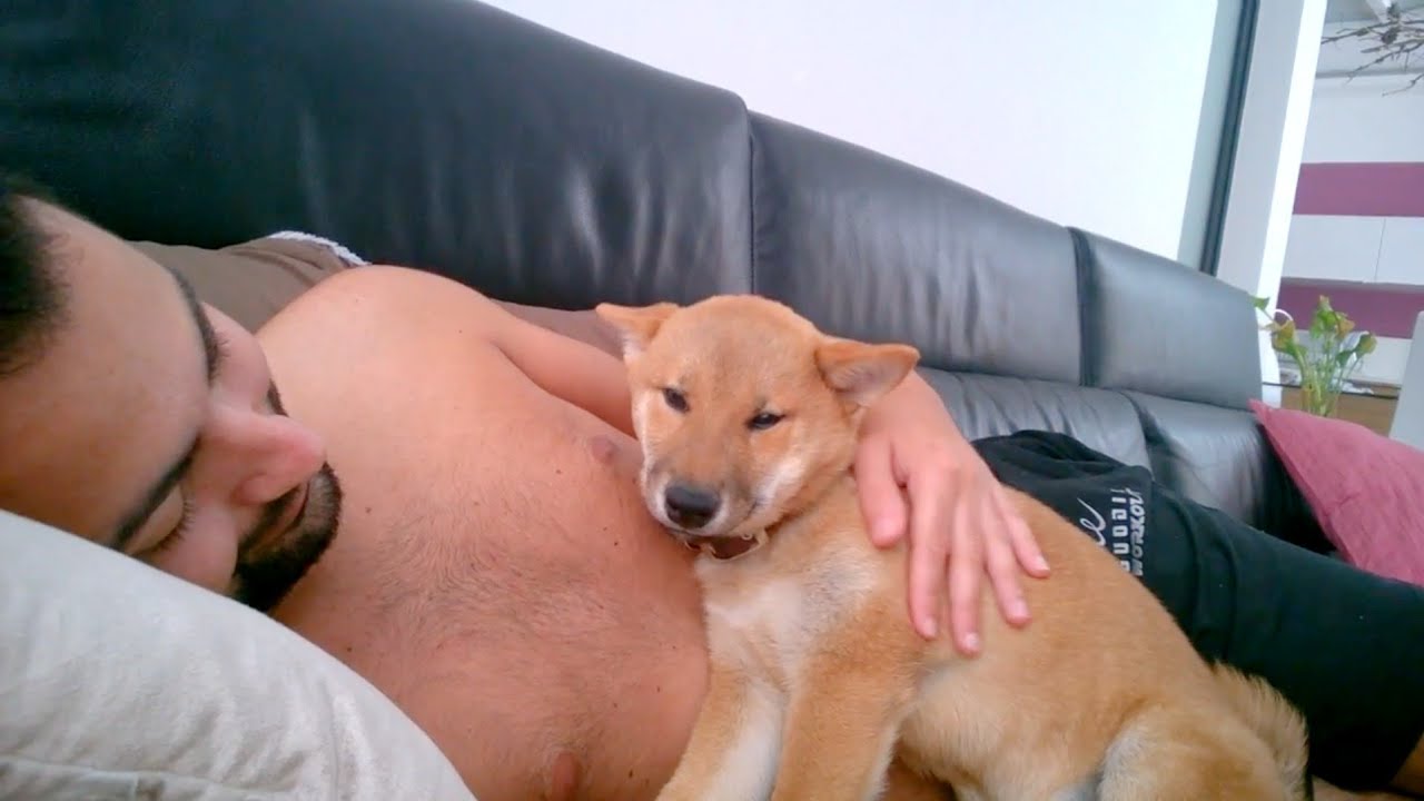 Today 10 years ago, I got Shiro home. This is the 1st ever video I took of him ❤️❤️