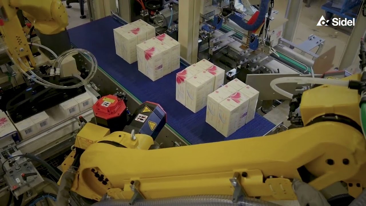 Cermex BC combines tray packer and lid fitter