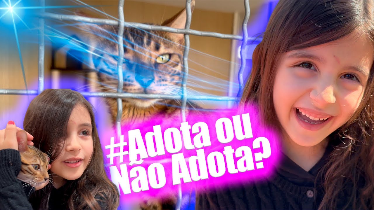 Adotamos um gatinho