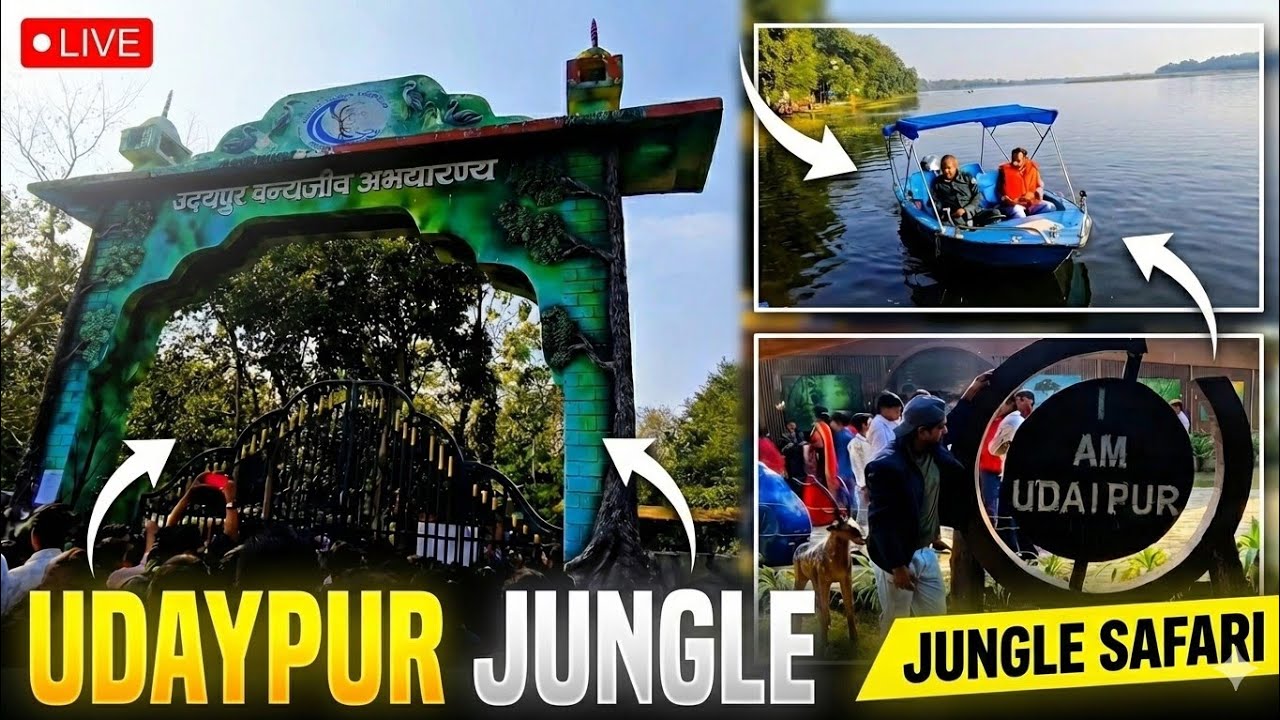 Naya Udaypur Jungle | Full Video of Bettiah Udaypur Jungle | Arif Danish Vlogs