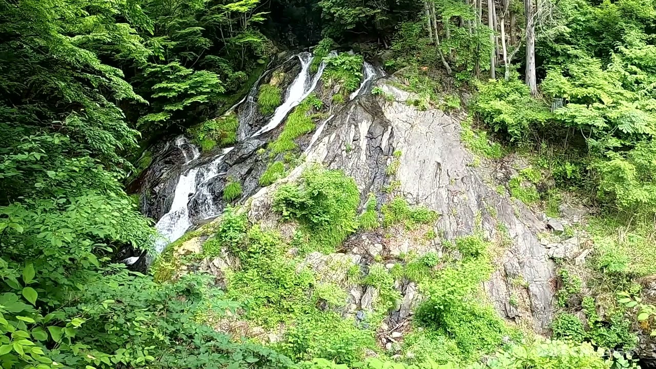 【530-05】【夢の滝】【東京都 檜原村】 【ブッチの3分タッキング】【202306】【1080ｐ60fps】【Japan waterfalls】