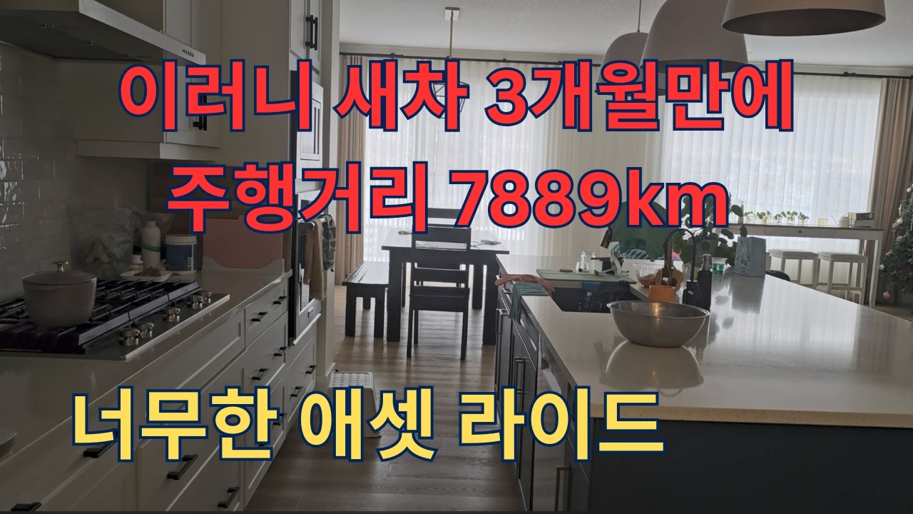 (🇨🇦일상)이러니 새차 3개월만에 7889km찍고 환장하는 애셋맘 일주일 일상ㅣ4군데 마트는 기본 빡센 장보기ㅣ캐나다, 딸셋맘 일상