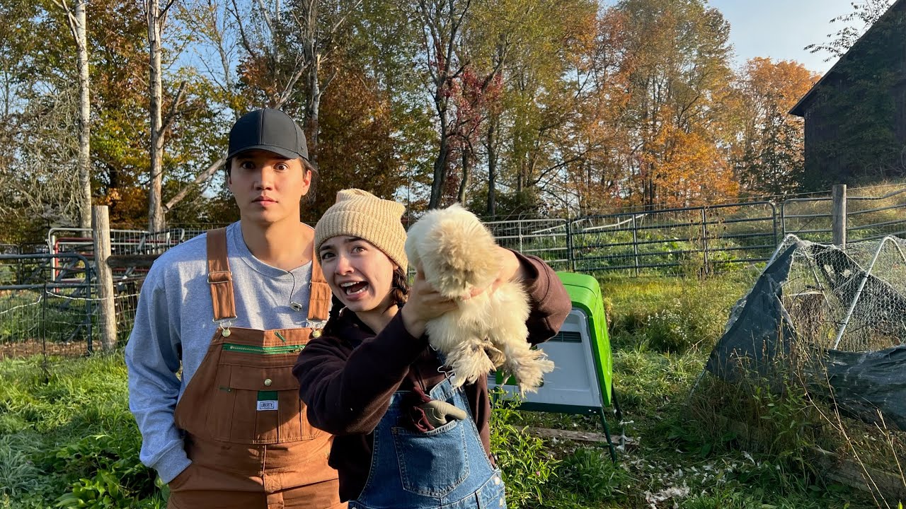WE ARE FARMERS NOW!