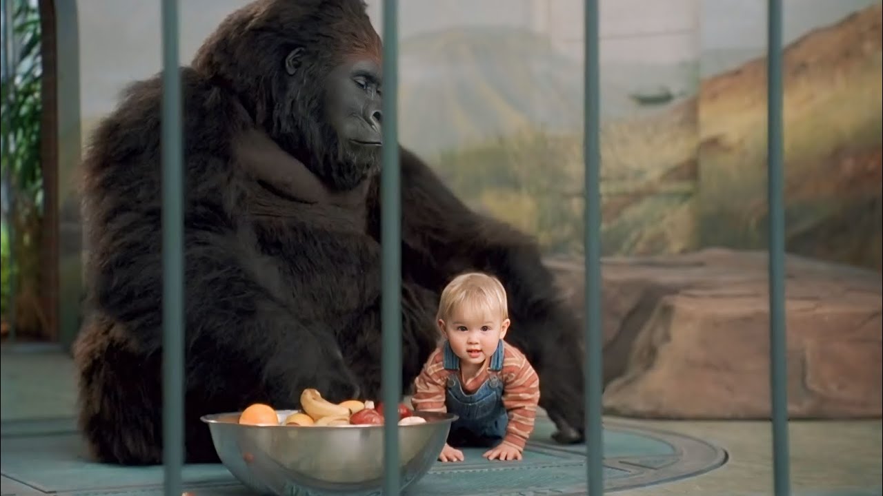 You got long arms 🤣🦍 - Baby's Day Out (1994)