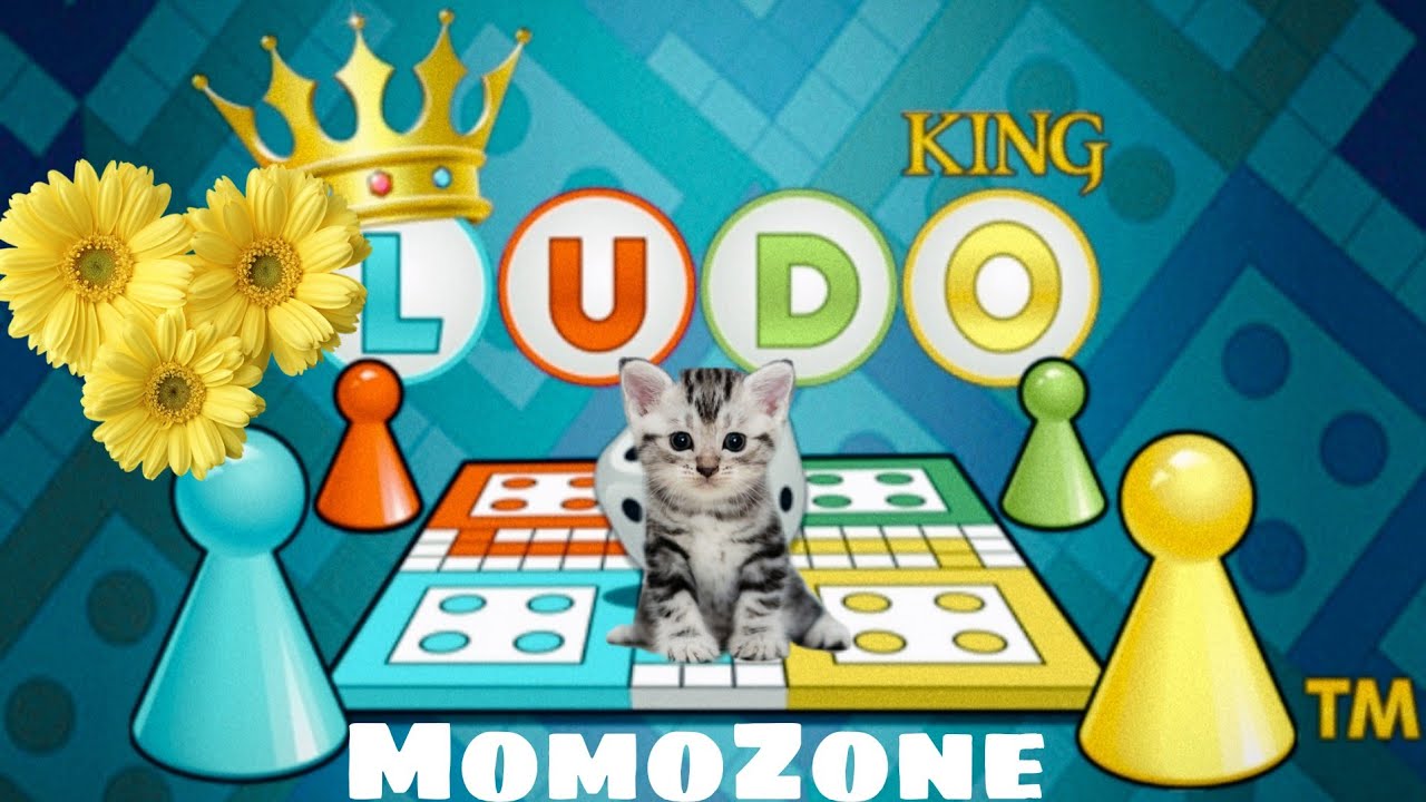 MomoZone is live! Ludoking