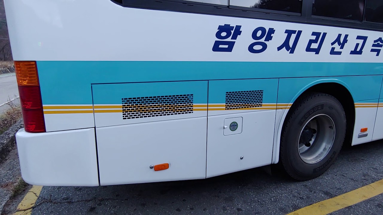 ZYLE DAEWOO BUS NEW BS090 NEW ROYAL MIDI 2019 Start Up
