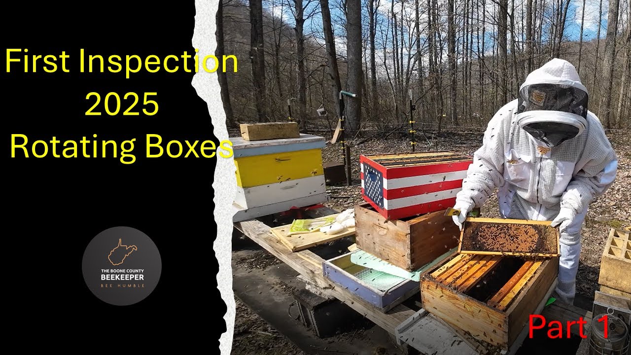 First Inspection 2025 - Reversing Boxes ( Part 1 )