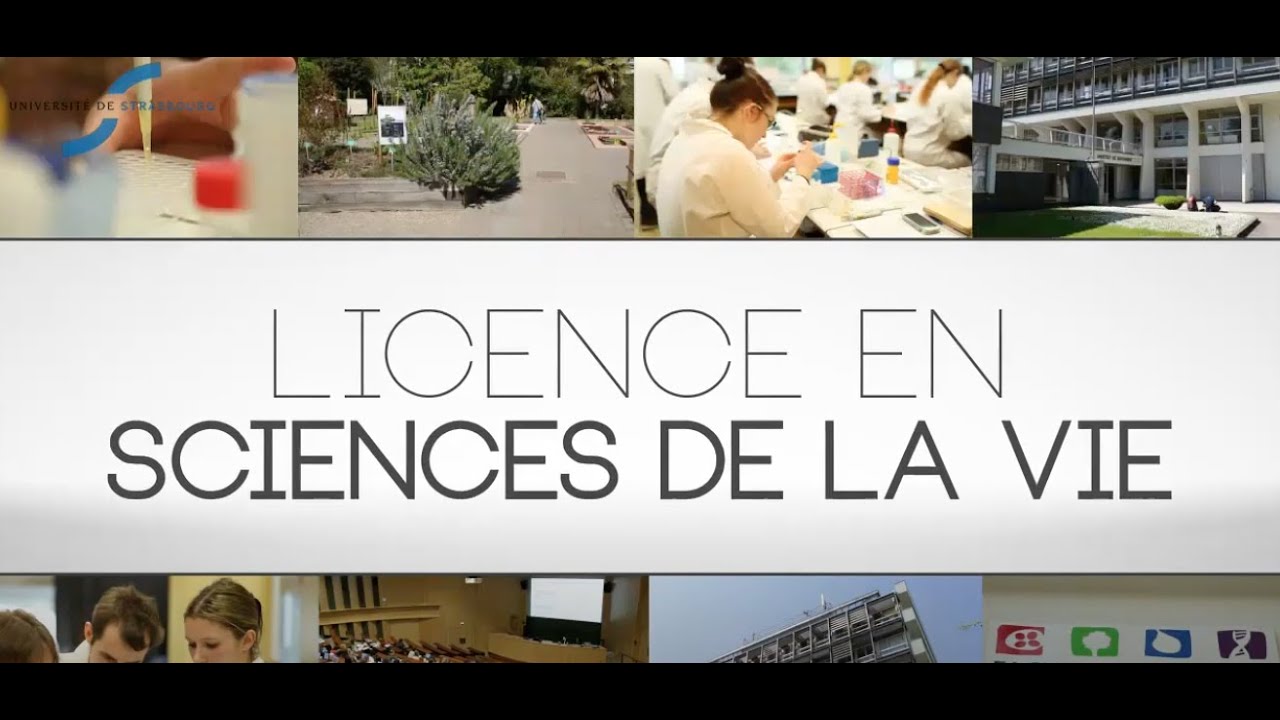 Ma formation en vidéo - Sciences de la vie