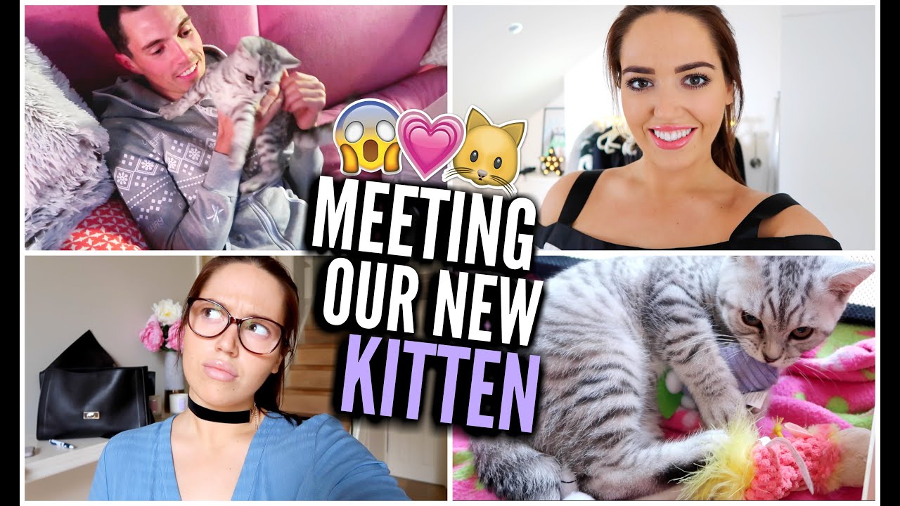 MEETING OUR NEW KITTEN!