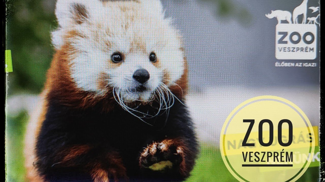 Veszprém Zoo Állatkert és Dínópark