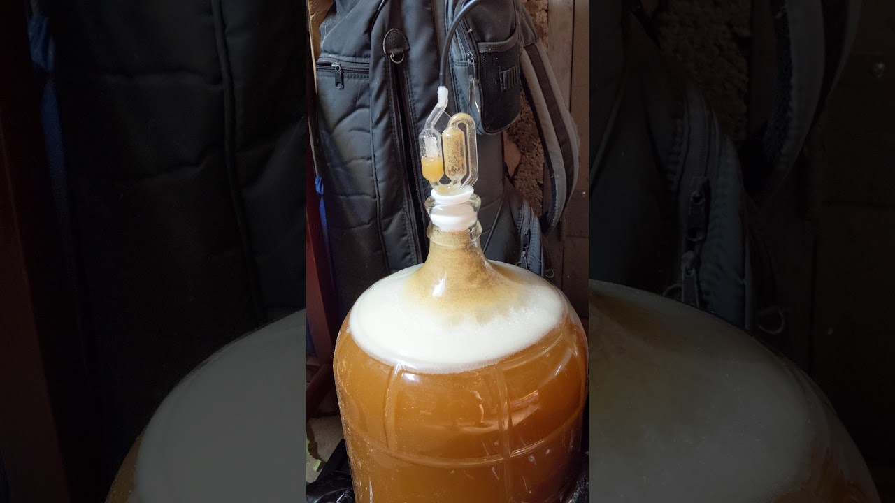 Co2 Supplementation from Beer Fermentation