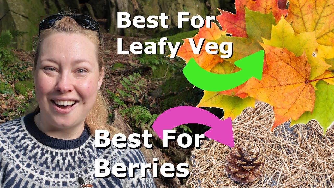 These Autumn Leaves Can Double Your Harvest - How To Use Fall Leaves To Improve Soil & Boost Crops