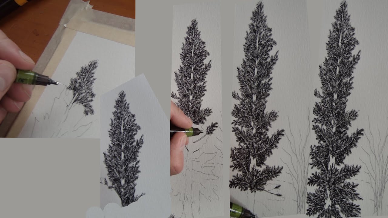 How to Draw a  Pine Tree Easily Beginner Step by Step Tutorial