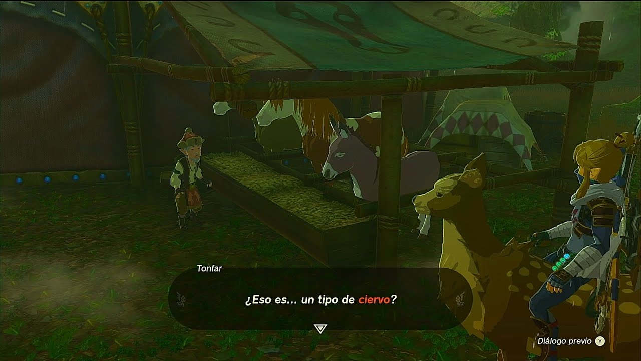 Zelda Tears 428 Cuidador Caballos